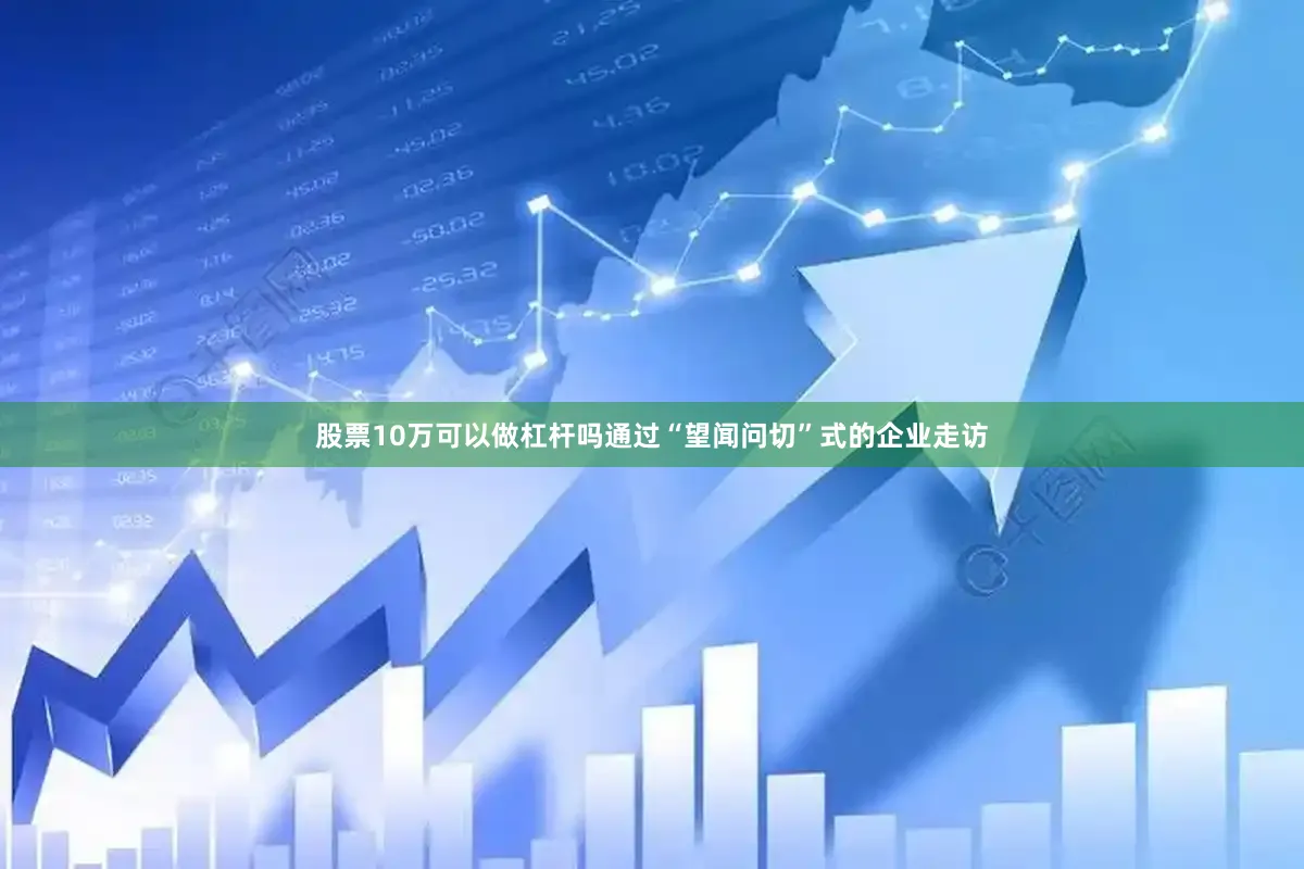 股票10万可以做杠杆吗通过“望闻问切”式的企业走访