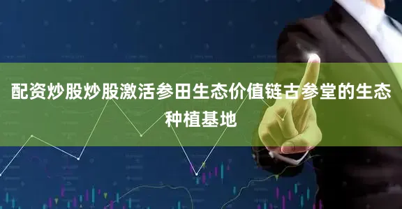 配资炒股炒股激活参田生态价值链古参堂的生态种植基地